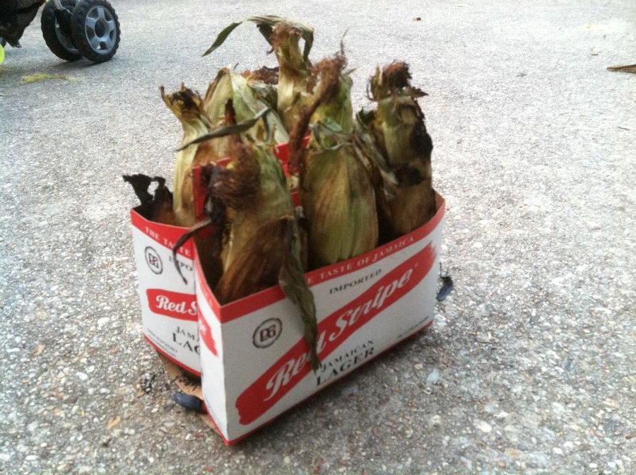 corn.JPG