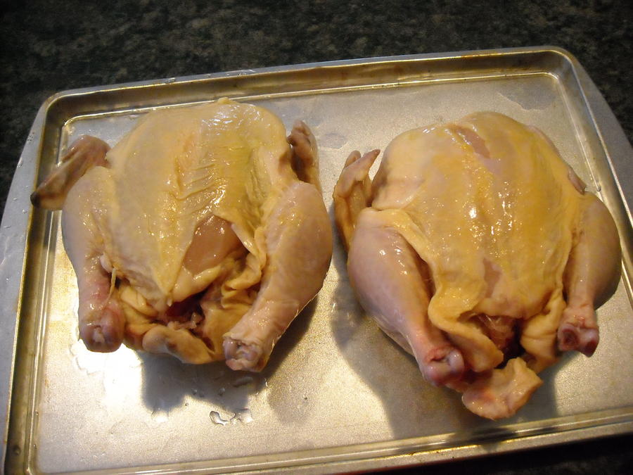 cornish hens 002.JPG