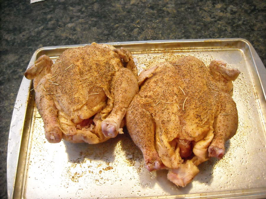 cornish hens 003.JPG