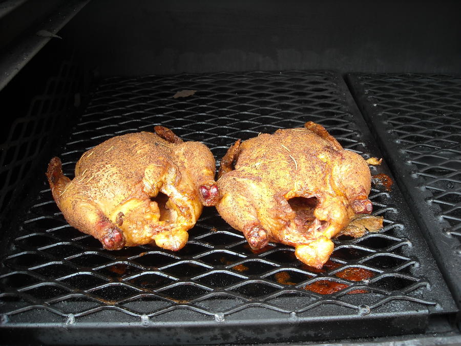 cornish hens 007.JPG