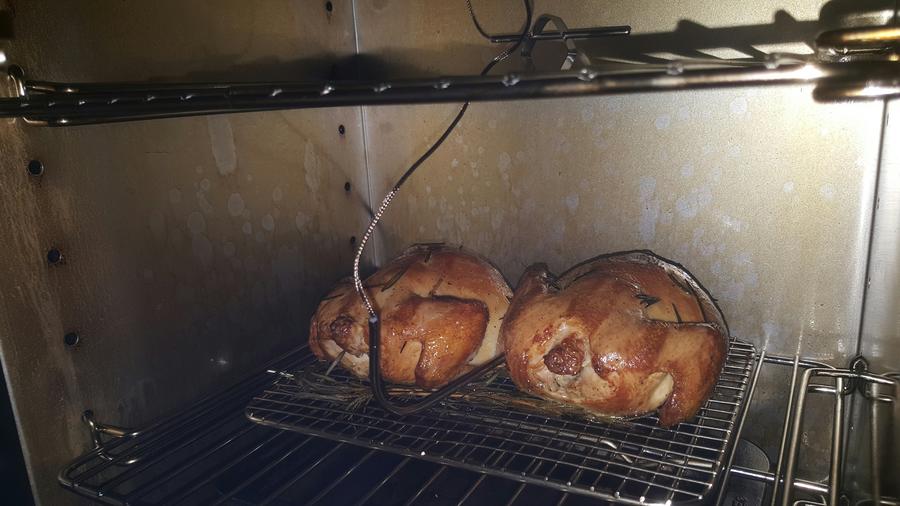 cornishhens3.jpg