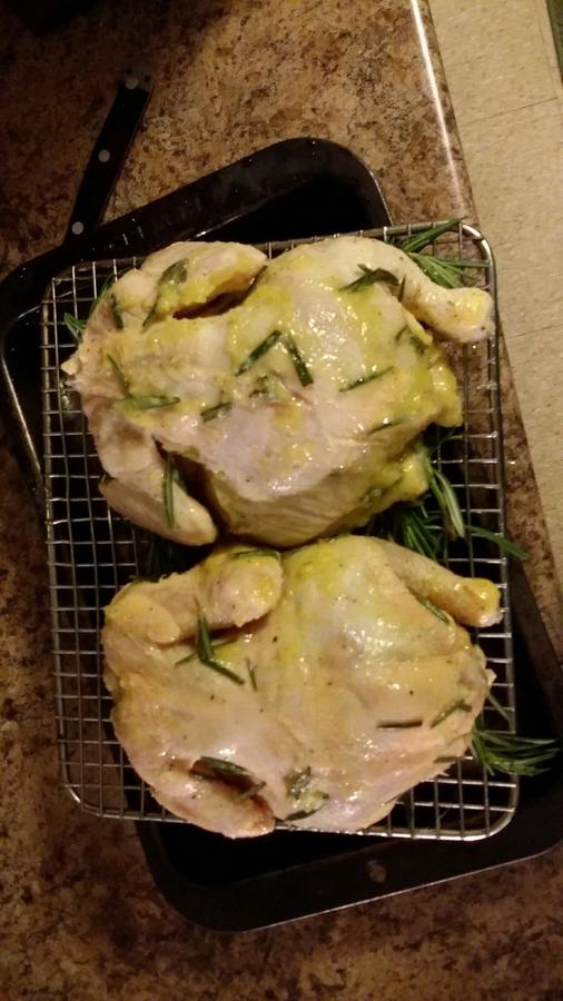cornishhens6.jpg