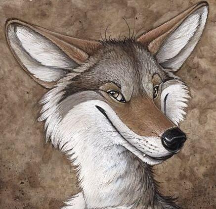 coyote avatar.jpg