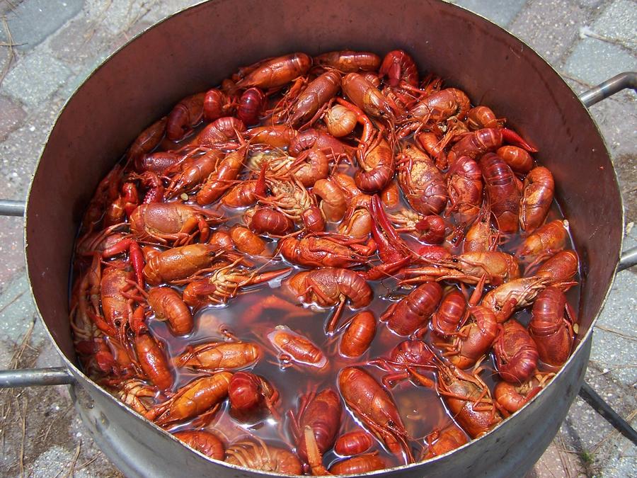 crawfishdoneinpot.jpg