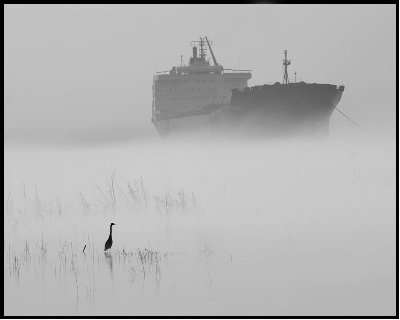 CRW_2864_egret_and_ship_in_4.jpg