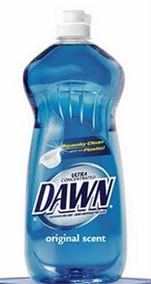 Dawn.jpg