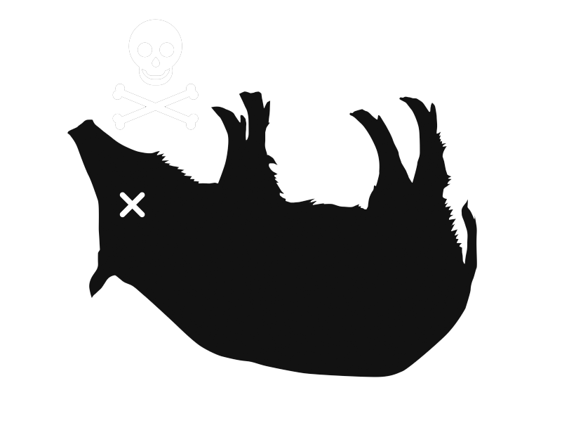 dead-pig.png