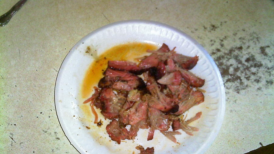 deer 008.JPG