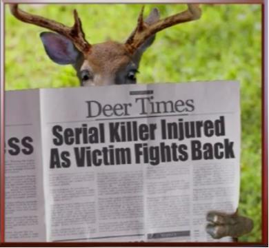 deer.jpg