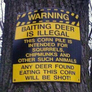 deer warning.jpg