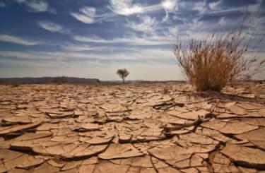 dehydration-parched-soil.jpg