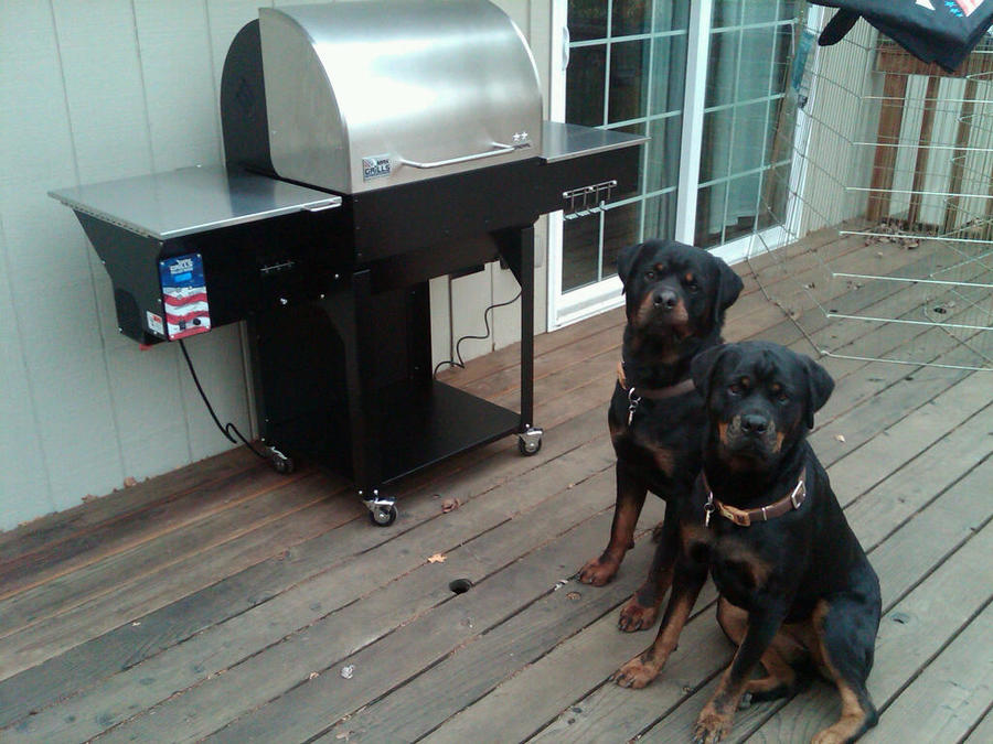 Dogs with Grill 2.jpg