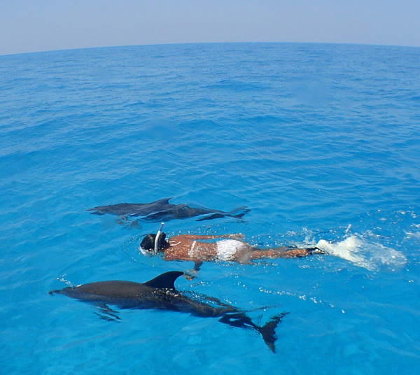 dolphin encounter.JPG