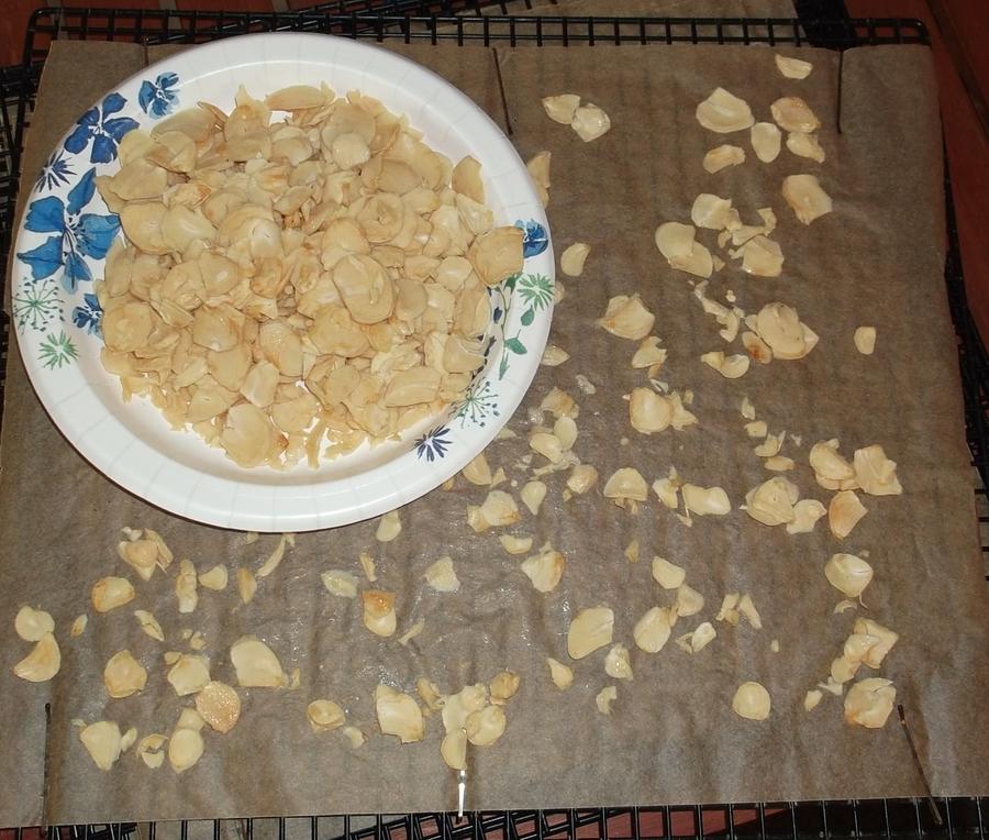 Drying Slicing Garlic.jpg