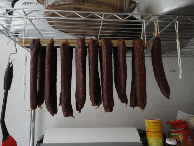 DSC00113.JPG