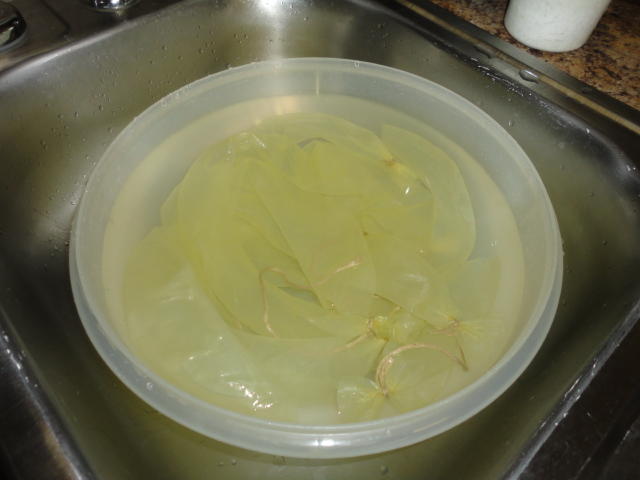 DSC00118.JPG