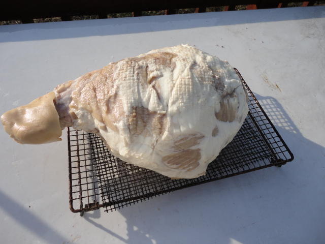 DSC00119.JPG