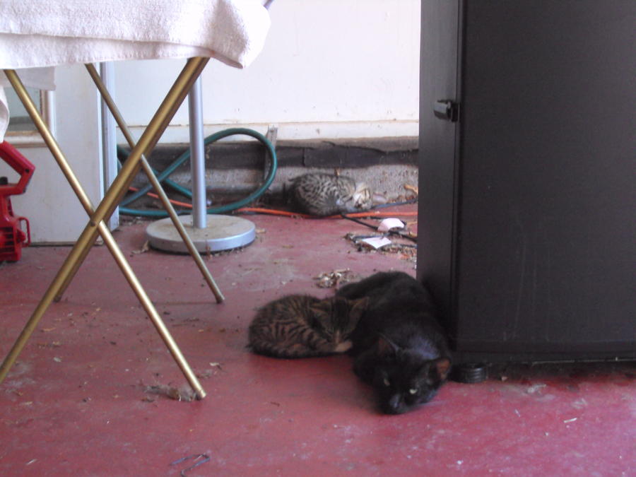 DSC00127.JPG