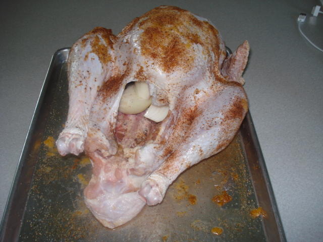 DSC00331.jpg