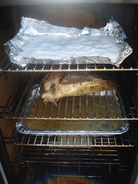 DSC00338.jpg