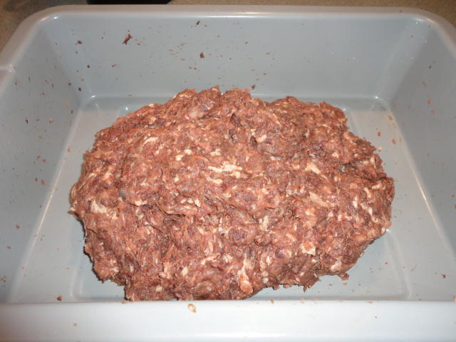 DSC00355.JPG