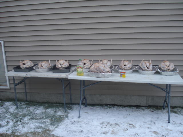 DSC00397-1.jpg