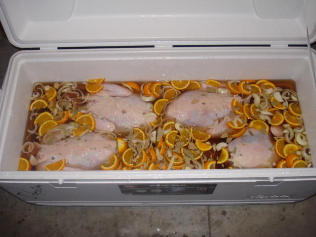 DSC00399.jpg