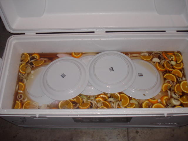 DSC00401.jpg