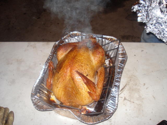 DSC00406.jpg