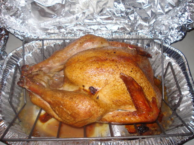 DSC00412.jpg