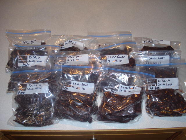 DSC00436.jpg