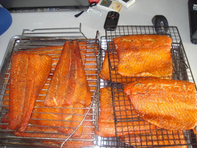 DSC00442-2.jpg