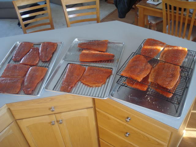 DSC00443.jpg