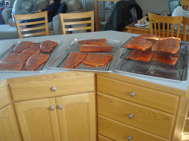 DSC00444.jpg