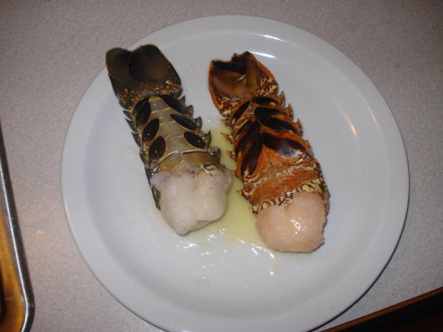 DSC00445.jpg