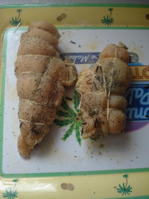 DSC00446.jpg