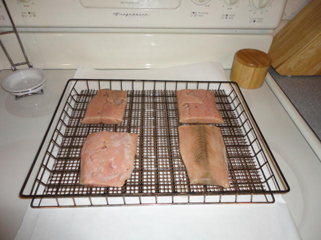 DSC00446.JPG