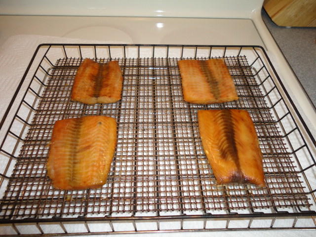 DSC00462.JPG