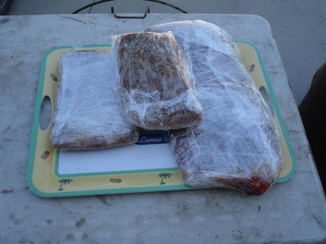 DSC00464.jpg
