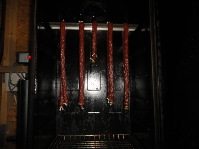 DSC00518.JPG