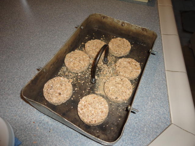 DSC00518.JPG