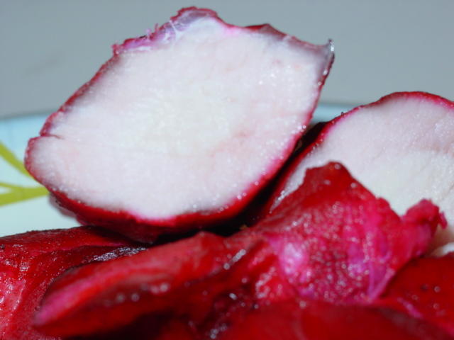 DSC00544.JPG