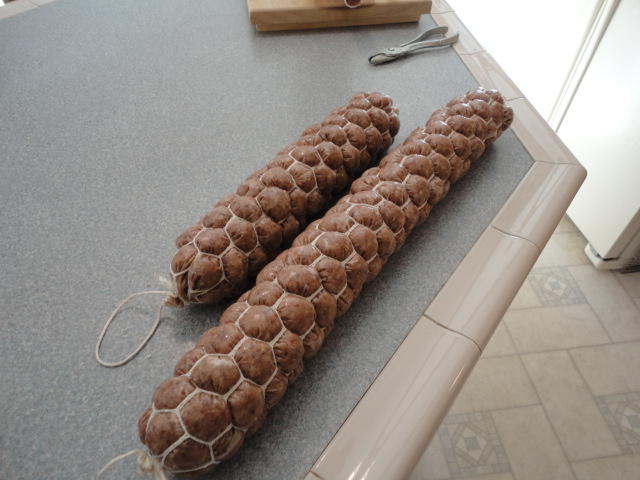 DSC00550.JPG