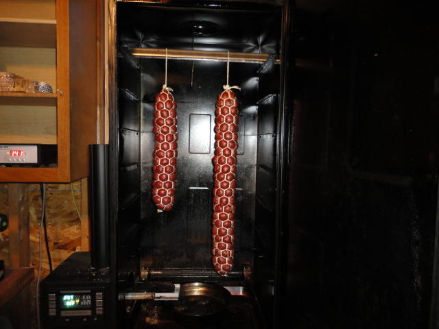DSC00560.JPG