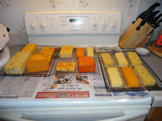 DSC00594.JPG