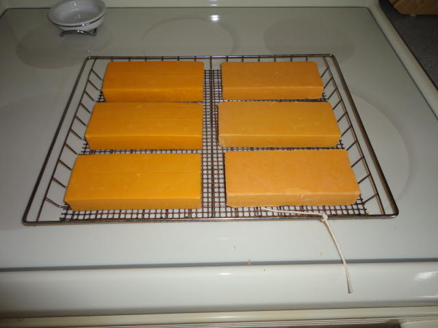 DSC00685.JPG