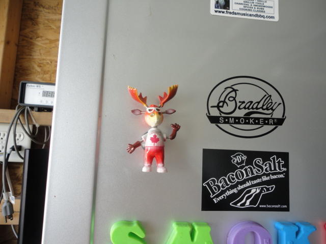 DSC00786.JPG
