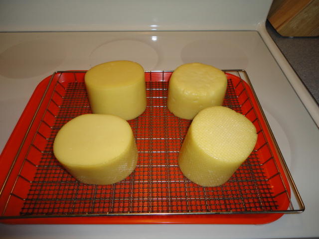 DSC00794.JPG
