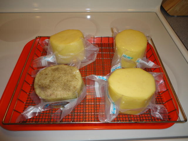 DSC00797.JPG