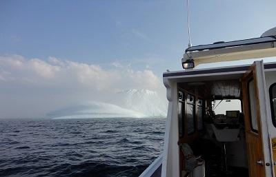 DSC00828 - Copy.JPG